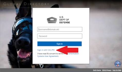 how to access dod 365.